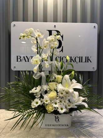 Beyaz Orkide arajman 