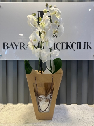 İthal Beyaz Orkide Seramikte Özel Craft Poşette