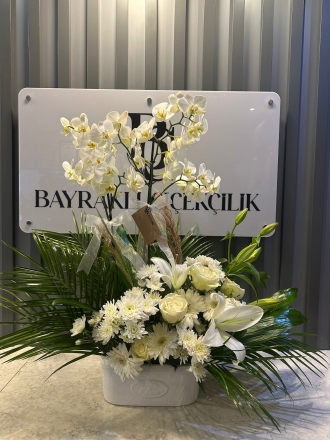 Beyaz Orkide arajman 